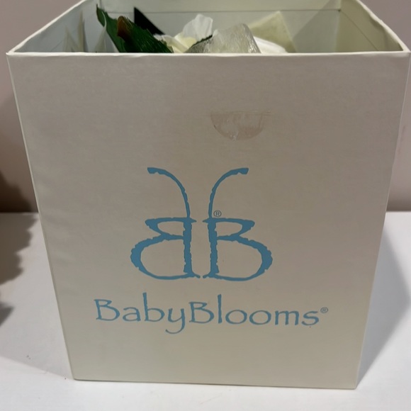 Baby Blooms Gender Neutral Baby Gift Set Flower Bouquet! - Picture 3 of 8